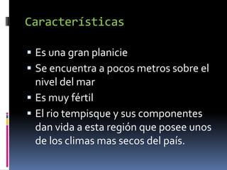 Características

 Es una gran planicie
 Se encuentra a pocos metros sobre el
  nivel del mar
 Es muy fértil
 El rio tempisque y sus componentes
  dan vida a esta región que posee unos
  de los climas mas secos del país.
 