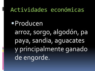 Actividades económicas

 Producen
 arroz, sorgo, algodón, pa
 paya, sandia, aguacates
 y principalmente ganado
 de engorde.
 