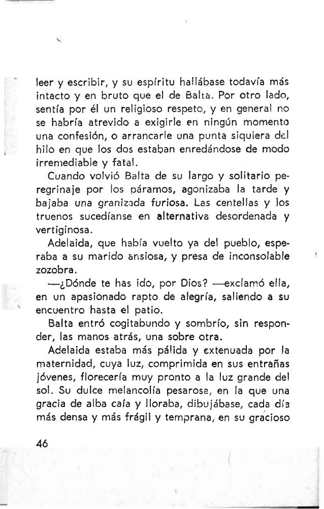 Fabla Salvaje es una novela corta del escritor peruano