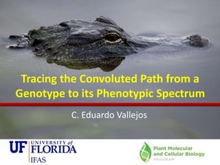 C. Eduardo Vallejos
Tracing the Convoluted Path from a
Genotype to its Phenotypic Spectrum