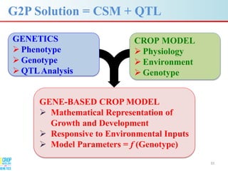 Advances in gene-based crop modeling