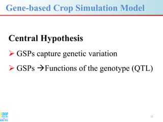 Advances in gene-based crop modeling