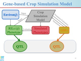 Advances in gene-based crop modeling