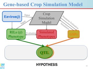 Advances in gene-based crop modeling