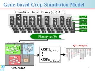 Advances in gene-based crop modeling