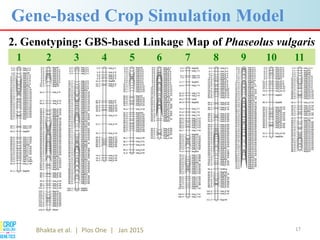 Advances in gene-based crop modeling