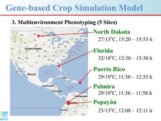 Advances in gene-based crop modeling