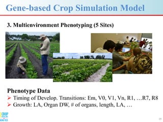 Advances in gene-based crop modeling