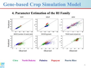 Advances in gene-based crop modeling
