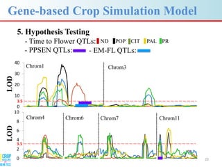 Advances in gene-based crop modeling
