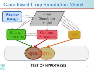 Advances in gene-based crop modeling