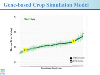 Advances in gene-based crop modeling