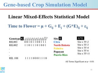 Advances in gene-based crop modeling