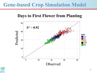 Advances in gene-based crop modeling