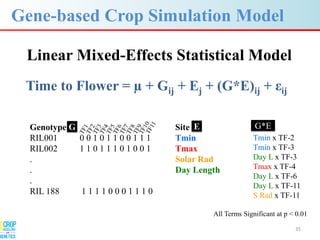Advances in gene-based crop modeling