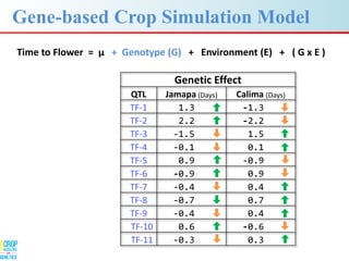 Advances in gene-based crop modeling