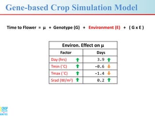 Advances in gene-based crop modeling