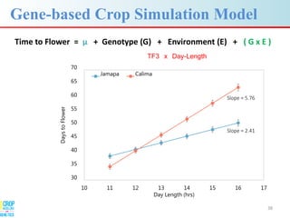 Advances in gene-based crop modeling