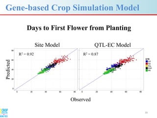 Advances in gene-based crop modeling