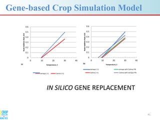 Advances in gene-based crop modeling
