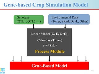 Advances in gene-based crop modeling
