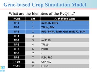 Advances in gene-based crop modeling