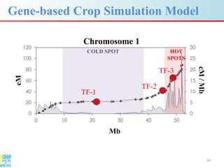 Advances in gene-based crop modeling