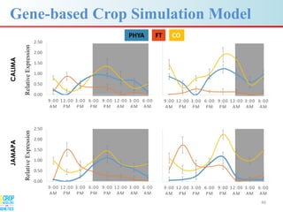 Advances in gene-based crop modeling