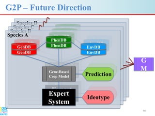 Advances in gene-based crop modeling