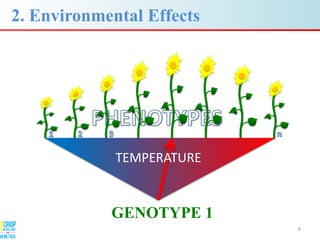 Advances in gene-based crop modeling