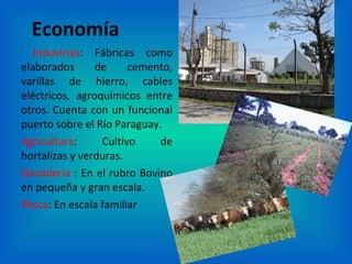 Economía Industrias : Fábricas como elaborados de cemento, varillas de hierro, cables eléctricos, agroquímicos entre otros. Cuenta con un funcional puerto sobre el Río Paraguay. Agricultura : Cultivo de hortalizas y verduras. Ganadería  : En el rubro Bovino en pequeña y gran escala. Pesca : En escala familiar  