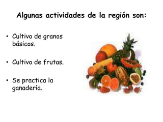 Algunas actividades de la región son:Cultivo de granos básicos.Cultivo de frutas.Se practica la ganadería.