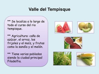 Valle del Tempisque
** Se localiza a lo largo de
todo el curso del rio
tempisque.
** Agricultura: caña de
azúcar, el arroz, los
frijoles y el maíz, y frutas
como la sandía y el melón.
** Tiene varios poblados
siendo la ciudad principal
Filadelfia.
 
