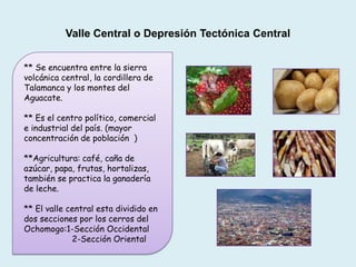 Valle Central o Depresión Tectónica Central
** Se encuentra entre la sierra
volcánica central, la cordillera de
Talamanca y los montes del
Aguacate.
** Es el centro político, comercial
e industrial del país. (mayor
concentración de población )
**Agricultura: café, caña de
azúcar, papa, frutas, hortalizas,
también se practica la ganadería
de leche.
** El valle central esta dividido en
dos secciones por los cerros del
Ochomogo:1-Sección Occidental
2-Sección Oriental
 