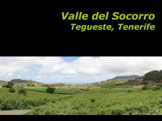 Valle del Socorro Tegueste, Tenerife 