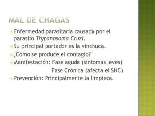  Virus transmitido por roedores.
 Principal portador: Roedores silvestres
  (Oligoryzomys longicaudatus).
 ¿Cómo se produce el contagio?
 Manifestación: Inicialmente se presenta
  como una gripe.
 Prevención: Principalmente la limpieza.
 