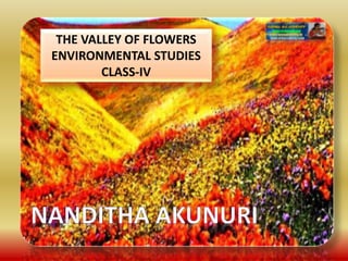 THE VALLEY OF FLOWERS
ENVIRONMENTAL STUDIES
CLASS-IV
 