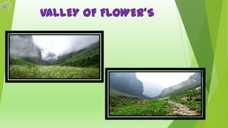 VALLEY OF FLOWER’S

 