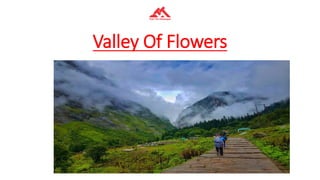 Valley Of Flowers
 