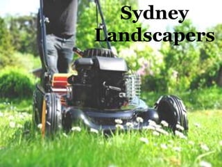 Sydney
Landscapers
 