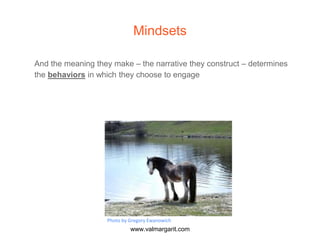 Mindsets
And the meaning they make – the narrative they construct – determines
the behaviors in which they choose to engage
Photo by Gregory Ewanowich
www.valmargarit.com
 