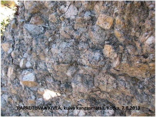 RAPAUTUVAA KIVEÄ, kuiva kangasmetsä, Kotka, 7.8.2013
 