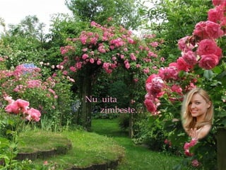 Nu uita
   ٱ…
 