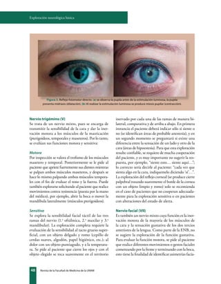 Valoración neurológica | PDF