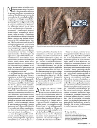 n
                                              ovas escavações no cemitério cor-
reinaldo tavares e CláUdio honorato




                                              roboram essa prática pela presen-
                                              ça de crânios e arcadas de jovens.
                                      As prospecções foram retomadas pela
                                      equipe de Tânia Lima, que, temerosa das
                                      consequências da especulação imobiliá-
                                      ria em torno do sítio, por causa do Por-
                                      to Maravilha, encarregou o arqueólogo
                                      Reinaldo Tavares, do Museu Nacional,
                                      da pesquisa O Cemitério dos Pretos No-
                                      vos: delimitação espacial, que até o final
                                      do ano traçará o mapa do cemitério. O
                                      seu tamanho é uma incógnita. Segundo
                                      relatos da época, teria 50 braças, algo co-
                                      mo um campo de futebol. O arqueólogo
                                      desconfia da medida, exígua demais para
                                      abrigar tantos corpos. Abrindo valas no
                                      entorno do sítio ele busca os seus limi-
                                      tes. “Não é preciso cavar mais do que 70
                                      centímetros para deparar com restos de
                                      corpos”, diz. O lugar era uma vala comum       ossos à flor da terra revelados nas novas escavações realizadas no cemitério
                                      onde os corpos eram jogados, após fica-
                                      rem dias amontoados num canto. Quando
                                      a fossa enchia, era reaberta e os vestígios   boratório de Genética Molecular de Mi-                 Uma escavação em particular trouxe
                                      eram incinerados e destruídos para dar        crorganismos da Fiocruz, que rastreia,              revelações importantes. “Ossadas encon-
                                      lugar a novos corpos. “Encontramos tam-       via DNA, as moléstias do Rio colonial.              tradas na igreja Nossa Senhora do Car-
                                      bém lixo urbano misturado aos ossos:          No cemitério de escravos da praça XV,               mo, no Rio, de sepulturas do século XVII,
                                      comida, vidros, material de construção,       por exemplo, verificou-se pelas ossadas             destinadas a pessoas de ascendência eu-
                                      animais mortos, dejetos. A tese inicial       que 7 em cada 10 cativos estavam infec-             ropeia, apesar de muito degradadas, de-
                                      era que o cemitério fora transformado         tados com protozoários ou helmintos.                ram positivo para tuberculose em 7 das
                                      em ‘lixão’ da vizinhança após seu fecha-      “Era resultado da péssima nutrição dos              10 costelas analisadas”, afirma Alena. No
                                      mento. As escavações apontam que ele          escravos, aliada às condições impróprias            local foram também encontradas ossadas
                                      ainda funcionava quando os detritos fo-       de higiene em que viviam”, diz Alena. A             de índios e negros. Na comparação dos
                                      ram jogados com os corpos.”                   descoberta genética comprova vários as-             vestígios, a pesquisadora concluiu não só
                                         A genética só aumenta o peso simbólico     pectos do estudo clássico da historiado-            que a tuberculose já grassava na cidade no
                                      provocado por esse desprezo. “Os escra-       ra americana Mary Karasch, A vida dos               século XVII, mas que, na medida em que
                                      vos entravam no Brasil pelo Nordeste ou       escravos no Rio de Janeiro (Companhia               apenas os europeus deram positivo para
                                      pelo Rio. A própria proximidade geográfi-     das Letras, 2000). Como a afirmação de              tuberculose, foram os colonizadores os
                                      ca levou escravos da África Ocidental para    que “as condições de vida dos escravos e            responsáveis pela introdução da doença
                                      o Nordeste e os da África Central para o      as doenças matavam mais do que a vio-               no Rio. “Em estudos que fiz sobre material
                                      Rio. Desses, a grande maioria era de ban-     lência física do cativeiro”.                        pré-colombiano, encontrei helmintíases
                                      tos”, diz Pena. Seriam, portanto, corpos                                                          intestinais e registros da doença de Cha-


                                                                                    a
                                      desse grupo étnico que lotam o cemité-                pesquisadora estudou o Cemité-              gas. Concluímos que eram doenças que
                                      rio. Do cais e dos armazéns era possível              rio dos Pretos Novos, onde en-              não vieram com os europeus. No Brasil
                                      ver como os seus mortos eram tratados.                controu traços de tuberculose,              colonial, ao contrário, evidencia-se o papel
                                      “Para os bantos, o sepultamento indigno       um total de 25% de amostras positivas.              de europeus na introdução e disseminação
                                      impossibilita a reunião entre o morto e       “As condições desumanas em que eram                 de doenças epidêmicas como a tubercu-
                                      seus antepassados, crença central da et-      transportados faziam os escravos susce-             lose.” Logo, os temores das “doenças dos
                                      nia. Pode-se imaginar que se sentiam con-     tíveis a contrair, já na chegada, a doen-           negros” que levaram à criação, exatos 200
                                      denados a uma ‘segunda morte’, cientes        ça, então difundida pela cidade.” Isso              anos atrás, do Cais do Valongo, seriam in-
                                      de que se apagara da memória o lugar de       também remete à pesquisa documental                 fundados. Não há crime perfeito quando
                                      seu repouso final”, observa Júlio César. Os   da americana: “A mortalidade dos afri-              os conhecimentos se reúnem. n
                                      vivos, porém, não tinham grandes chan-        canos recém-chegados ao Valongo não
                                      ces: só um terço dos pretos novos viveria     se relacionava apenas às condições terrí-
                                      como escravo mais do que 16 anos.             veis dos ‘tumbeiros’. Mesmo sobreviven-               artigo científico
                                         A causa dessas precocidades dos óbi-       do à travessia, no cais eles enfrentavam              JAEGER, L. H. et al. Mycobacterium
                                      tos eram as muitas doenças com que con-       um desafio maior: adaptar-se às novas,                tuberculosis complex detection in human
                                                                                                                                          remains: tuberculosis spread since the 17th
                                      viviam, como comprovam as pesquisas           e péssimas, condições de vida para não                century in Rio de Janeiro, Brazil. Infection,
                                      paleogenéticas de Alena Mayo, do La-          sucumbir, de cara, às doenças do Rio”.                Genetics and Evolution. No prelo.


                                                                                                                                                                    pesquisa Fapesp 190 | 29
 