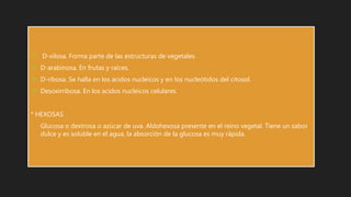  D-xilosa. Forma parte de las estructuras de vegetales.
 D-arabinosa. En frutas y raíces.
 D-ribosa. Se halla en los acidos nucleicos y en los nucleótidos del citosol.
 Desoxirribosa. En los acidos nucleicos celulares.
* HEXOSAS
• Glucosa o dextrosa o azúcar de uva. Aldohexosa presente en el reino vegetal. Tiene un sabor
dulce y es soluble en el agua, la absorción de la glucosa es muy rápida.
 