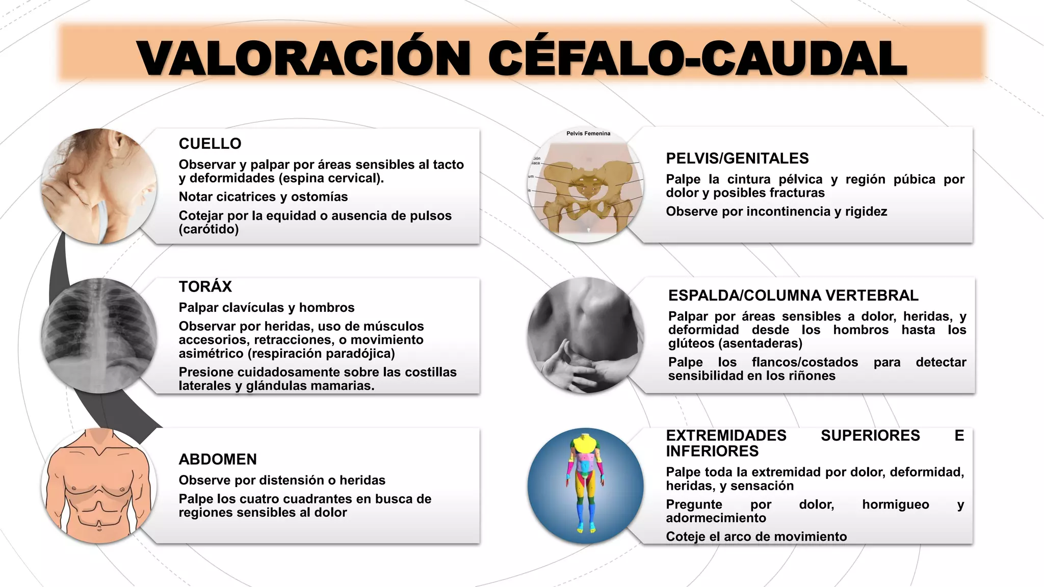 Valoración céfalo-caudal del paciente.pdf