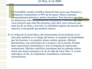 “ Hermanos” Rosa Montero El País , 6-12-2005 Un formidable estudio científico demostró hace poco que humanos y chimpancés compartimos el 99% de los genes. Somos animales extremadamente próximos, primos hermanos. Para hacernos una idea: las diferencias entre los genomas de chimpancés y humanos son diez veces mayores que entre dos personas, pero diez veces menores que entre los de un ratón y una rata. La intimidad orgánica de nuestras dos especies es tan grande que produce mareos. Es el vértigo de lo maravilloso, del emocionante reconocimiento en el otro; pero también es el vértigo del horror, al constatar las brutalidades que les hacemos. Los grandes simios sienten, piensan, fabrican herramientas, son conscientes de sí mismos y de la muerte. Pueden hacer operaciones matemáticas y usar el lenguaje de signos para comunicarse. Muchos científicos consideran que los grandes simios tienen una mente semejante a la de un niño de cinco años. Y a estos individuos, en fin, les enjaulamos, humillamos, torturamos, exterminamos 