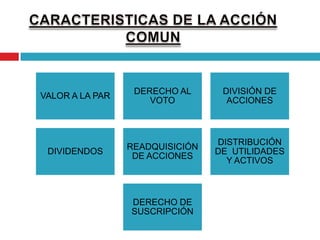 CAPITAL DE DUEDA   VS   CAPITAL PROPIO