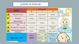 Valoración de Apgar de un recién nacido.pptx